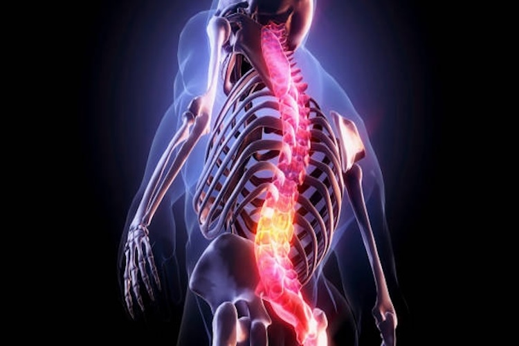 columna-saludable-vida-saludable-descubre-la-descomprecion-vertebral-1